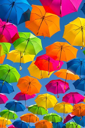 Blog. Chakra Umbrella