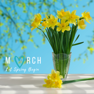 Blog. Daffodils March 