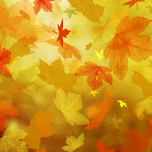 Blog. Breathe new life into autumn