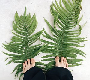 Blog . Feet on plant