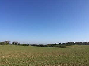 Blog . New treatment room view