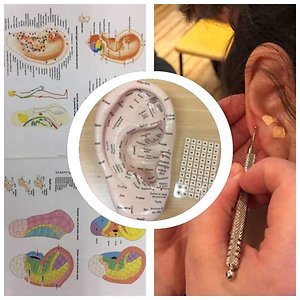 Blog. Ear Reflexology 