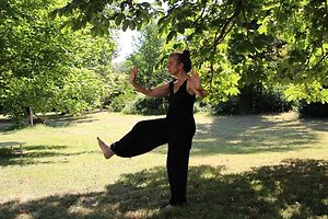 Blog20. Tai Chi